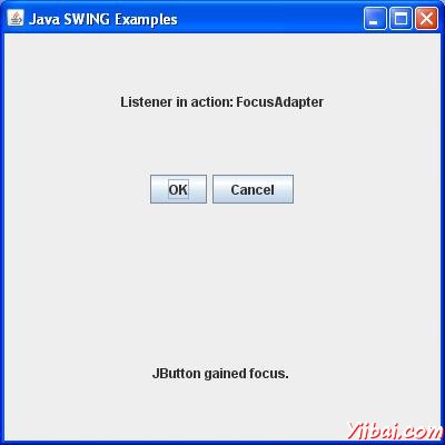 SWING FocusAdapter